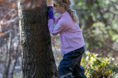 forest-woodland-play